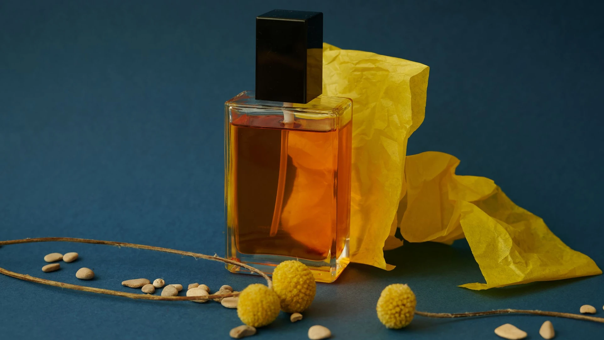 Concepto de perfumería Noma