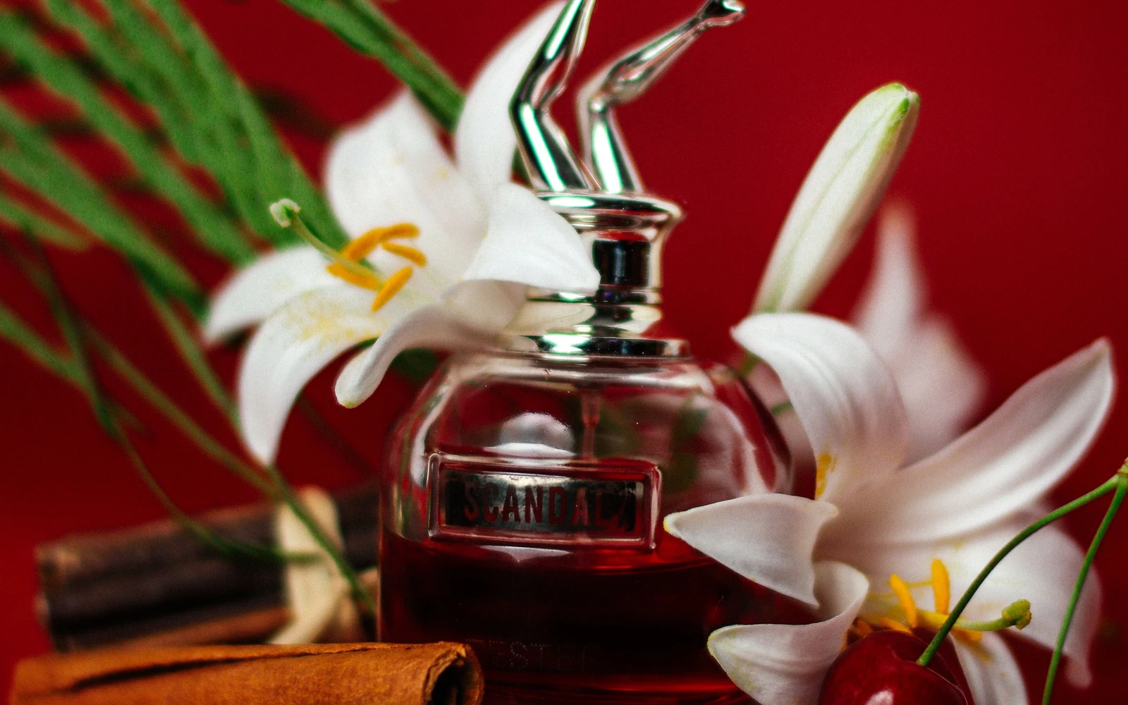 Detalle del universo de NOMA PARFUMS