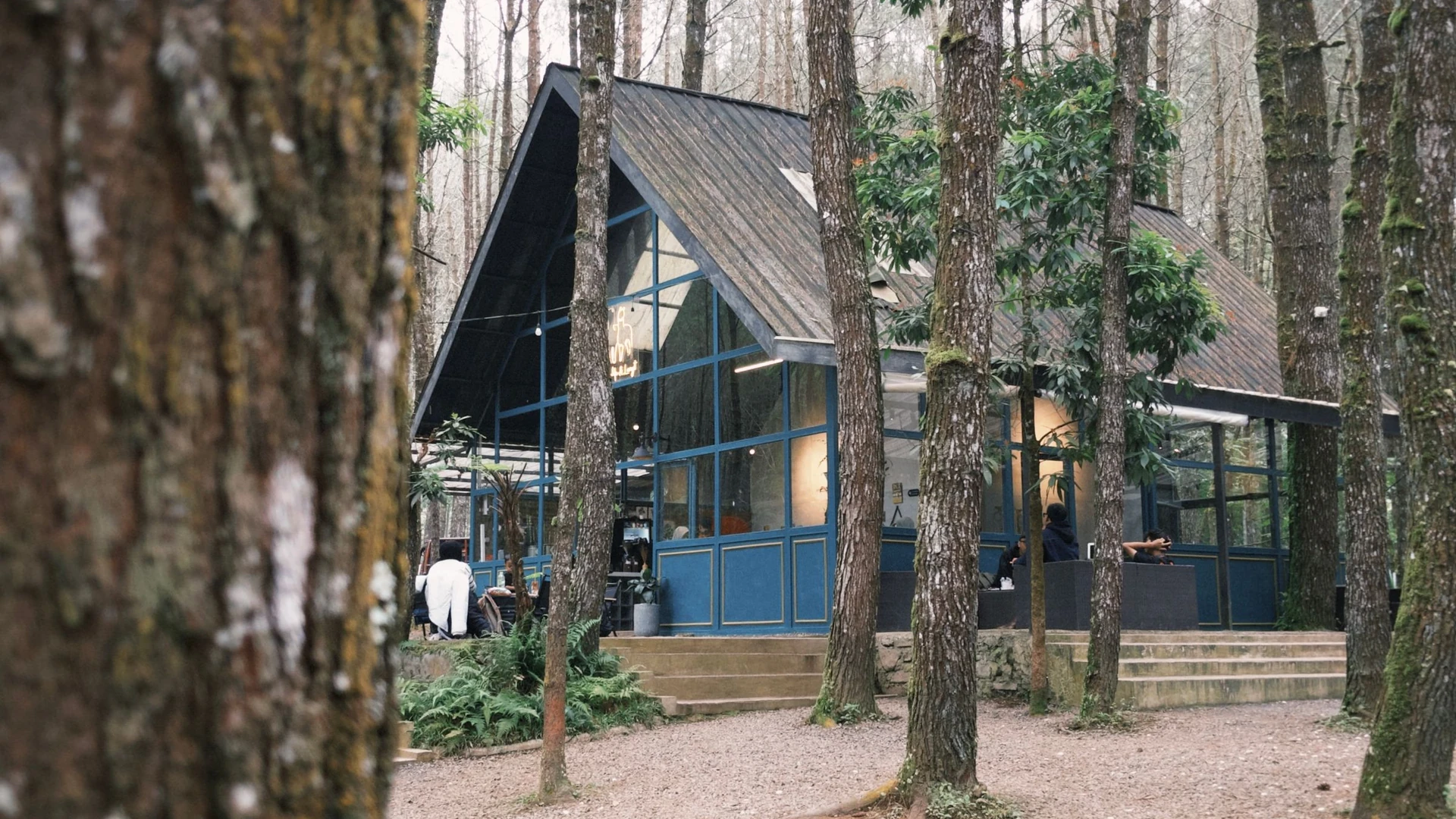 Entorno natural del concepto Savia Retreat