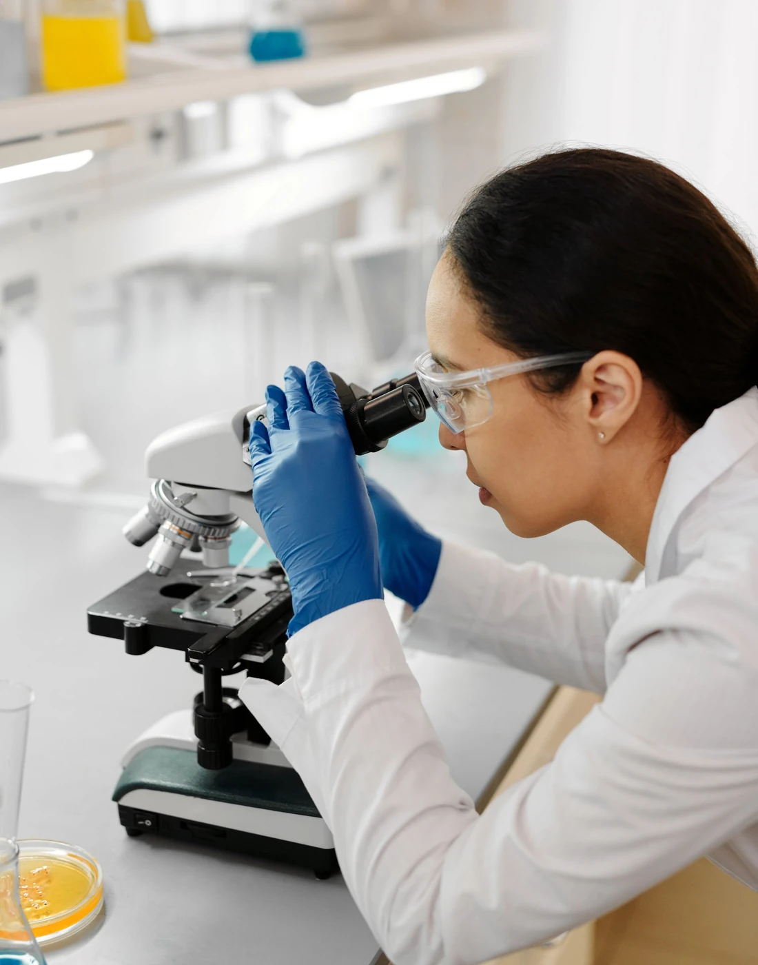 Investigación del concepto Vitalis Lab